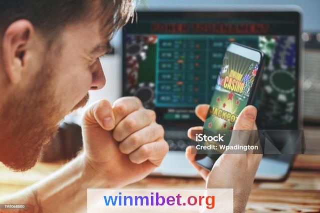 winmi - FAQ: Tudo que Você Precisa Saber 2 Imagem ilustrativa